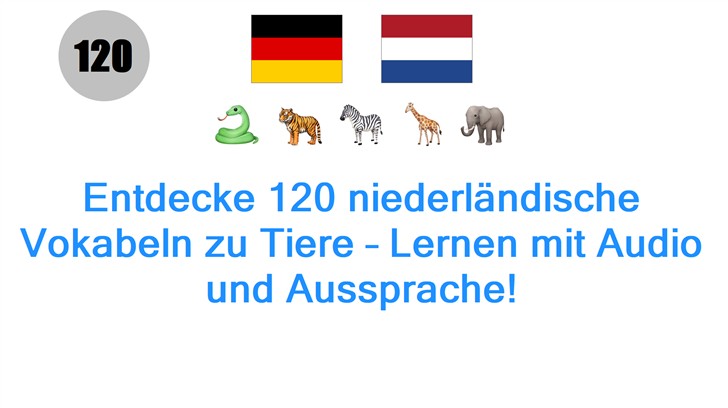 Entdecke 120 niederländische Vokabeln zu Tiere – Lernen mit Audio und Aussprache!
